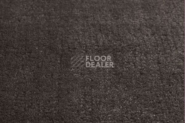 Ковролин Jacaranda Carpets Simla Steel Grey фото 1 | FLOORDEALER